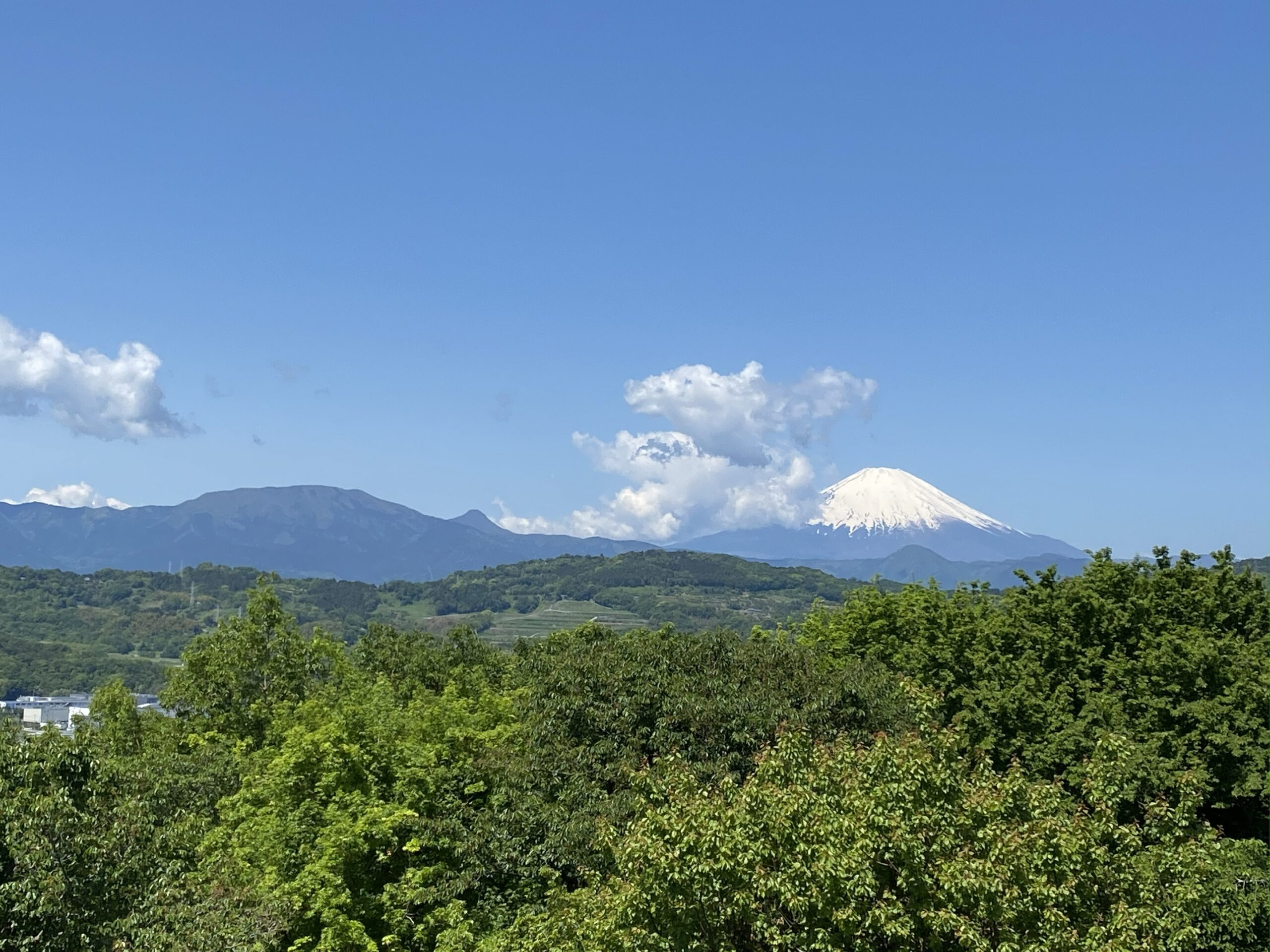 吾妻山公園から望む富士山と緑の山々